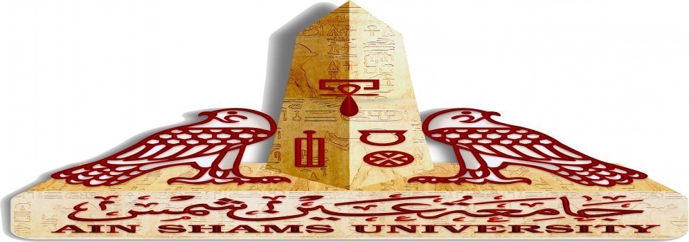 Prof. Dr. Abdel Nasser Senjab Vice President of Ain Shams University for Graduate Studies and Research